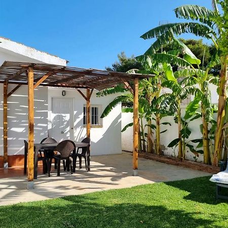 Apartamento Privado Con Jardin, Piscina Elevada Y Bbq Чиклана де ла Фронтера Екстериор снимка