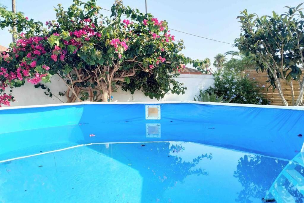Apartamento Privado Con Jardin, Piscina Elevada Y Bbq Чиклана де ла Фронтера Екстериор снимка